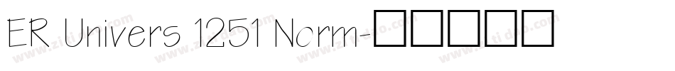 ER Univers 1251 Norm字体转换